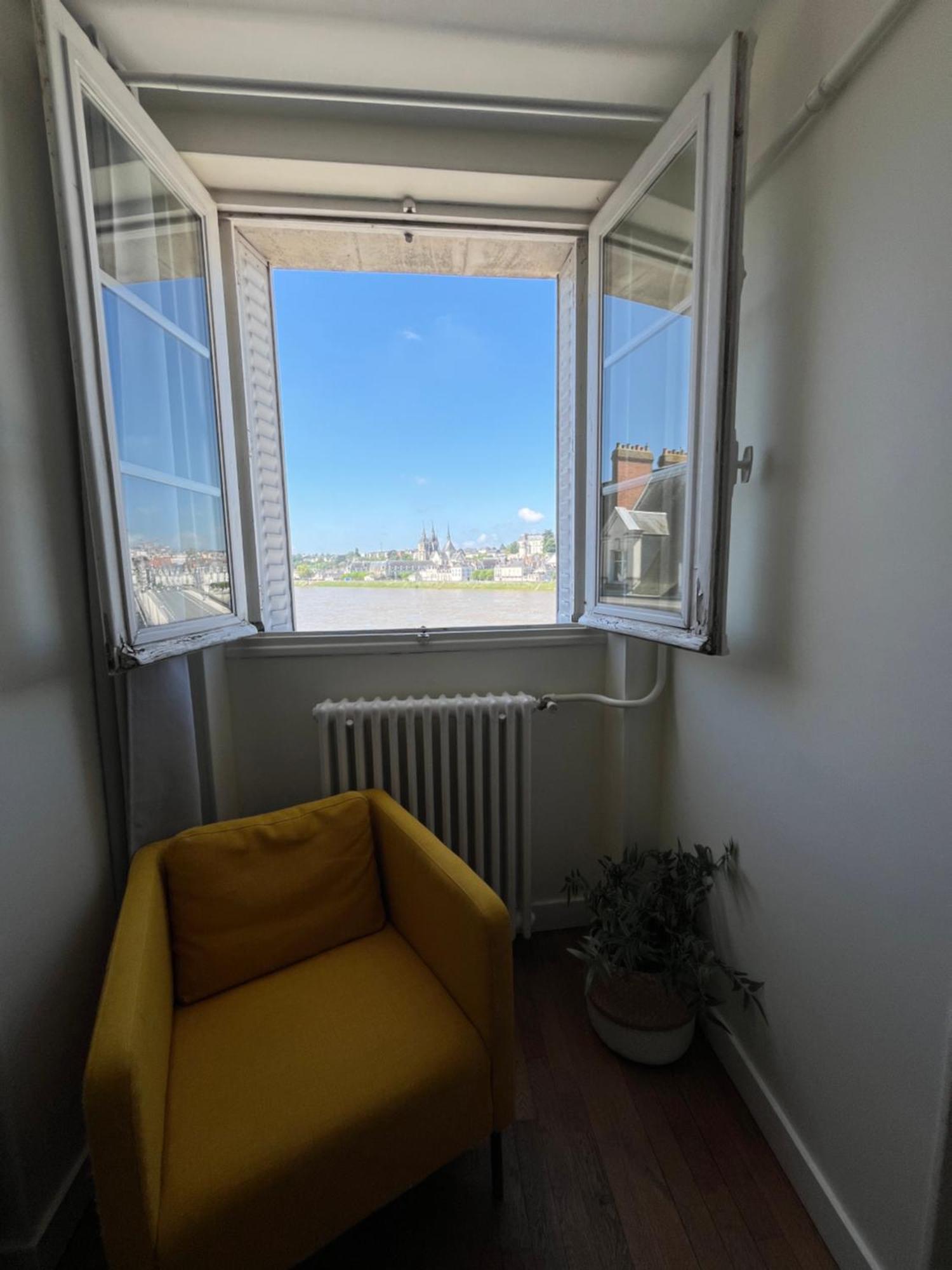 Le Wilson - Vue Imprenable Sur La Loire Et Le Chateau De Blois Ngoại thất bức ảnh