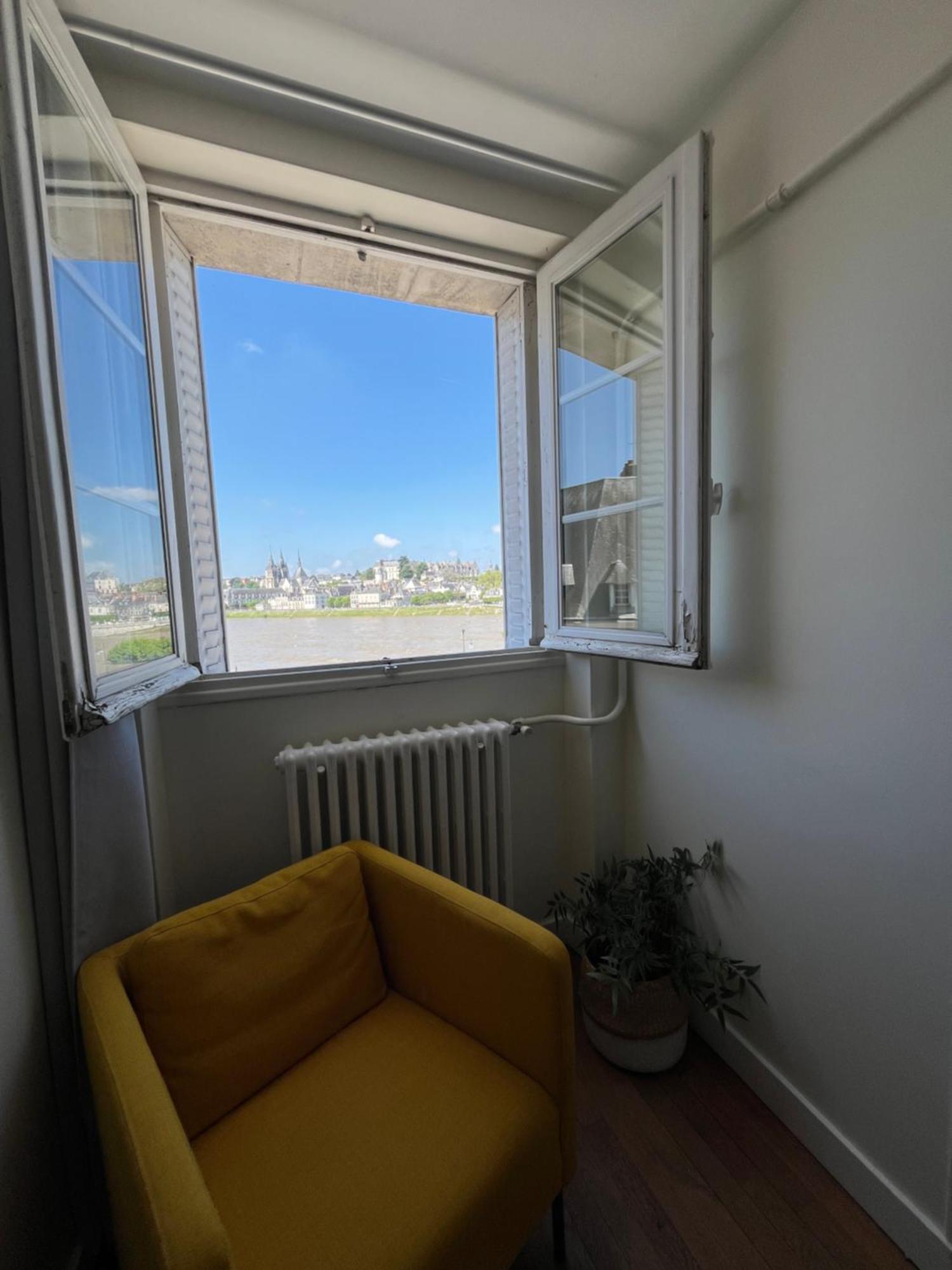 Le Wilson - Vue Imprenable Sur La Loire Et Le Chateau De Blois Ngoại thất bức ảnh