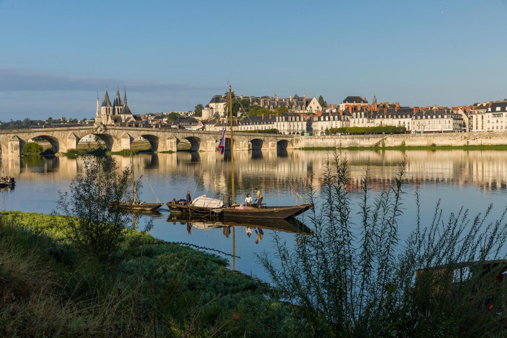 Le Wilson - Vue Imprenable Sur La Loire Et Le Chateau De Blois Ngoại thất bức ảnh